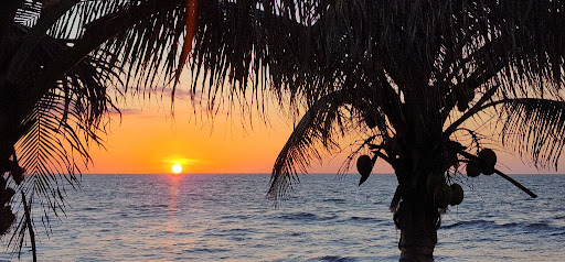 Atardeceres Mágicos